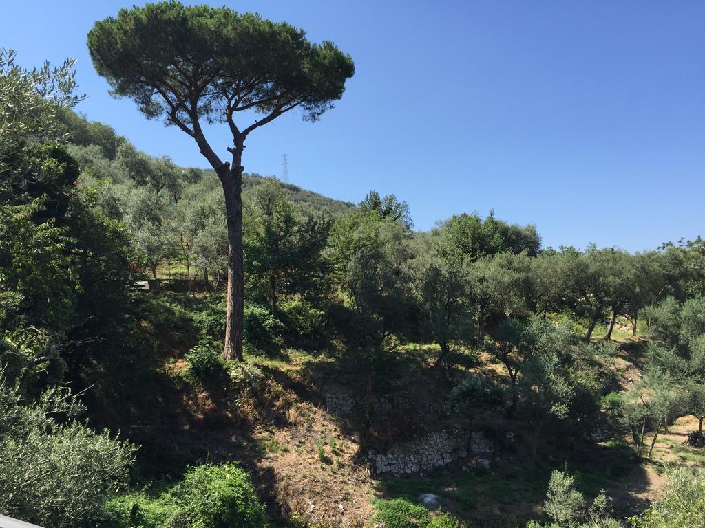 Il Casale Del Mirto Βίλα Vico Equense Εξωτερικό φωτογραφία